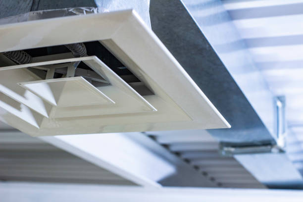 Best Professional Duct Cleaning Services  in Mckenzie, TN