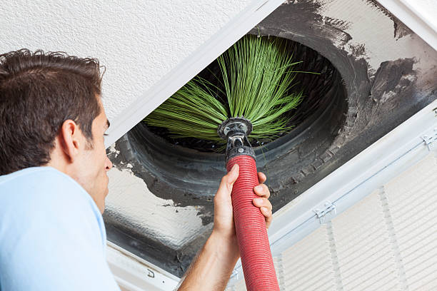 Best Affordable Air Duct Cleaning  in Mckenzie, TN